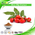 Rich in Vitamin C Rose Hip Extract Powder, Rose Hip Extract